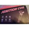 Painate Ignition Coil