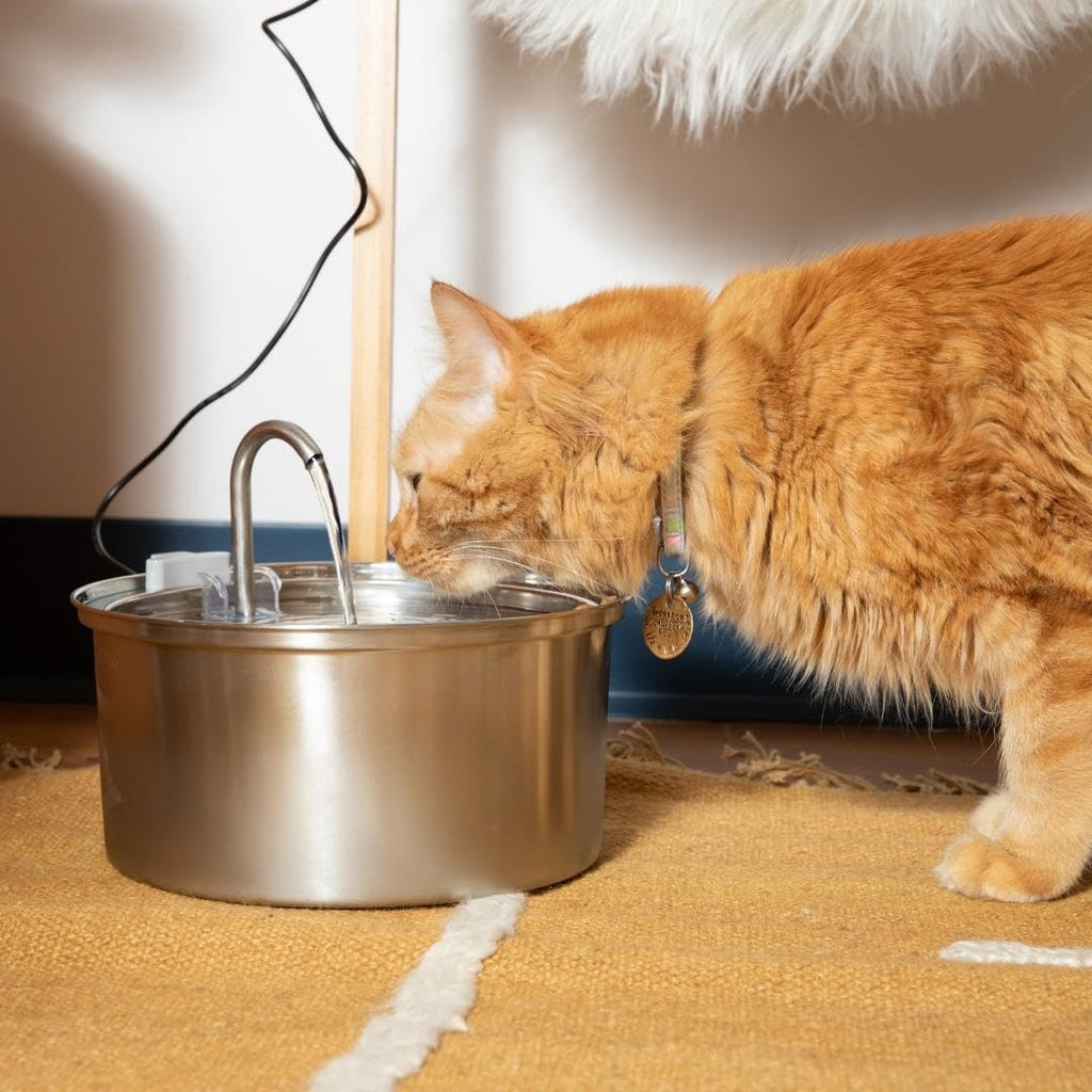KittySpout Stainless Steal Cat Fountain