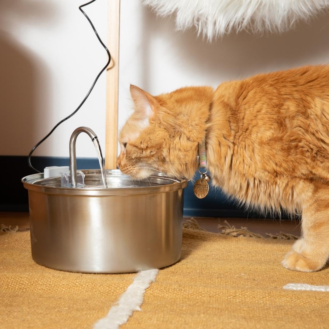KittySpout Stainless Steal Cat Fountain