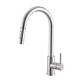 LUCA COLLECTION kitchen faucet package