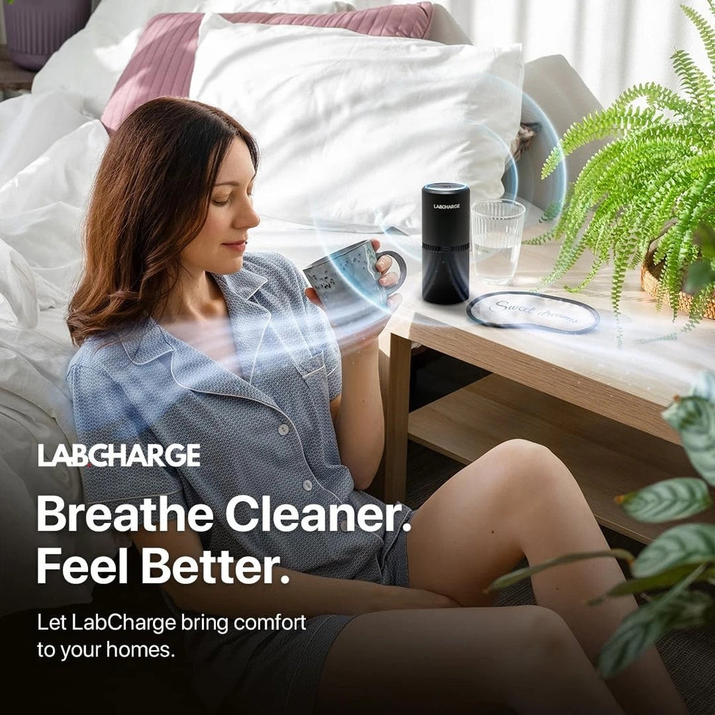 LabCharge Small Ionic Air Purifier