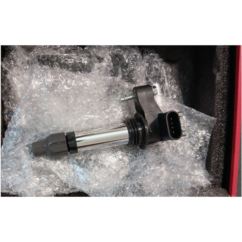 Painate Ignition Coil