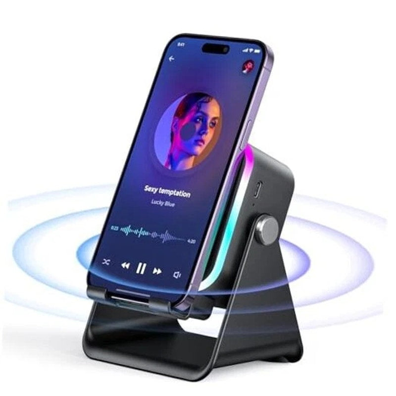 ZJ-027 Wireless Induction Speaker