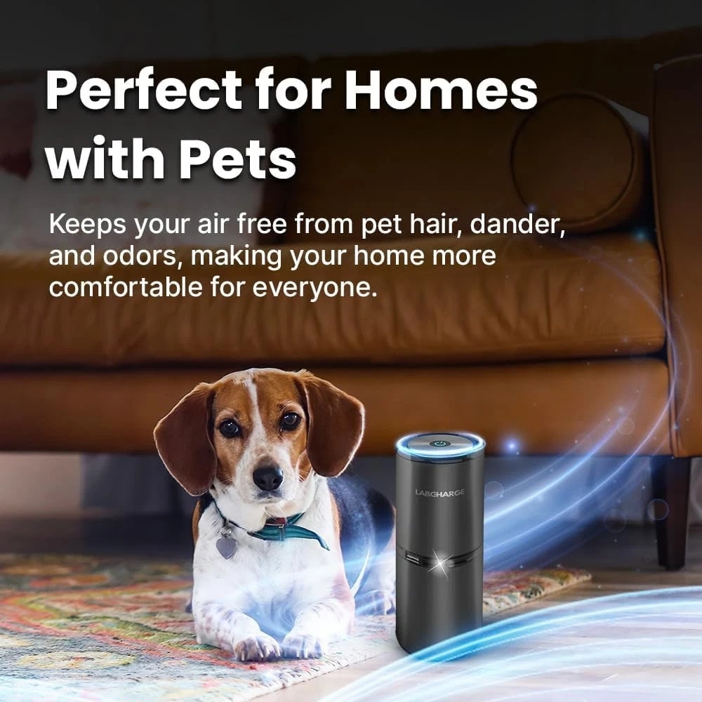 LabCharge Small Ionic Air Purifier