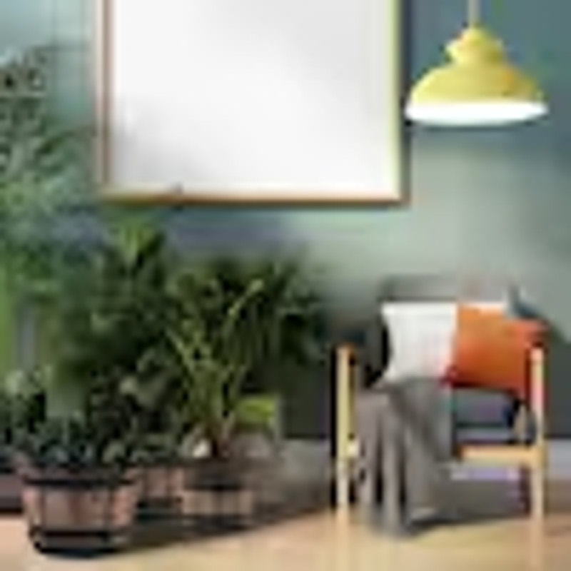 6 Large Plastic Planters with Drainage Holes and Saucers